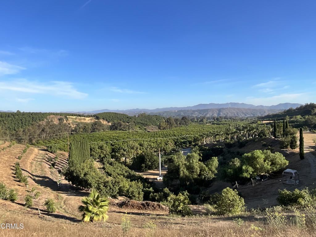 7907 Balcom Canyon Road Somis, CA 93066 - Photo 21 of 32 IMG_0981