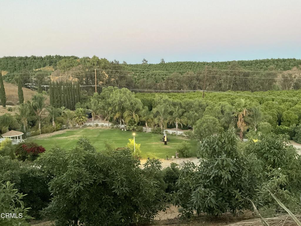 7907 Balcom Canyon Road Somis, CA 93066 - Photo 25 of 32 IMG_0866
