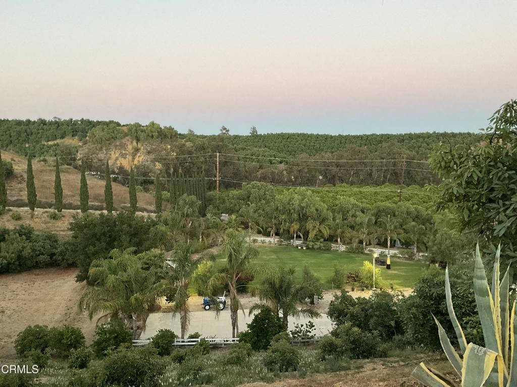 7907 Balcom Canyon Road Somis, CA 93066 - Photo 26 of 32 IMG_0863
