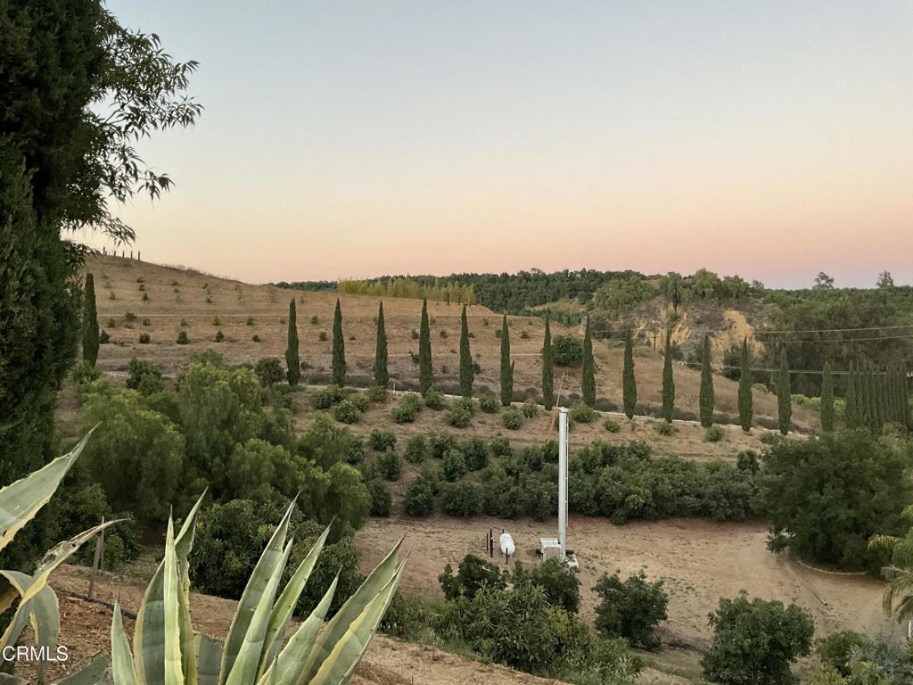 7907 Balcom Canyon Road Somis, CA 93066 - Photo 27 of 32 IMG_0842