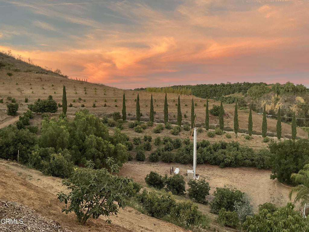 7907 Balcom Canyon Road Somis, CA 93066 - Photo 29 of 32 IMG_1219