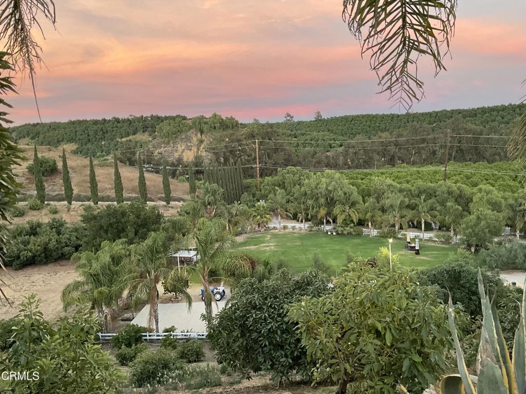 7907 Balcom Canyon Road Somis, CA 93066 - Photo 30 of 32 IMG_1214
