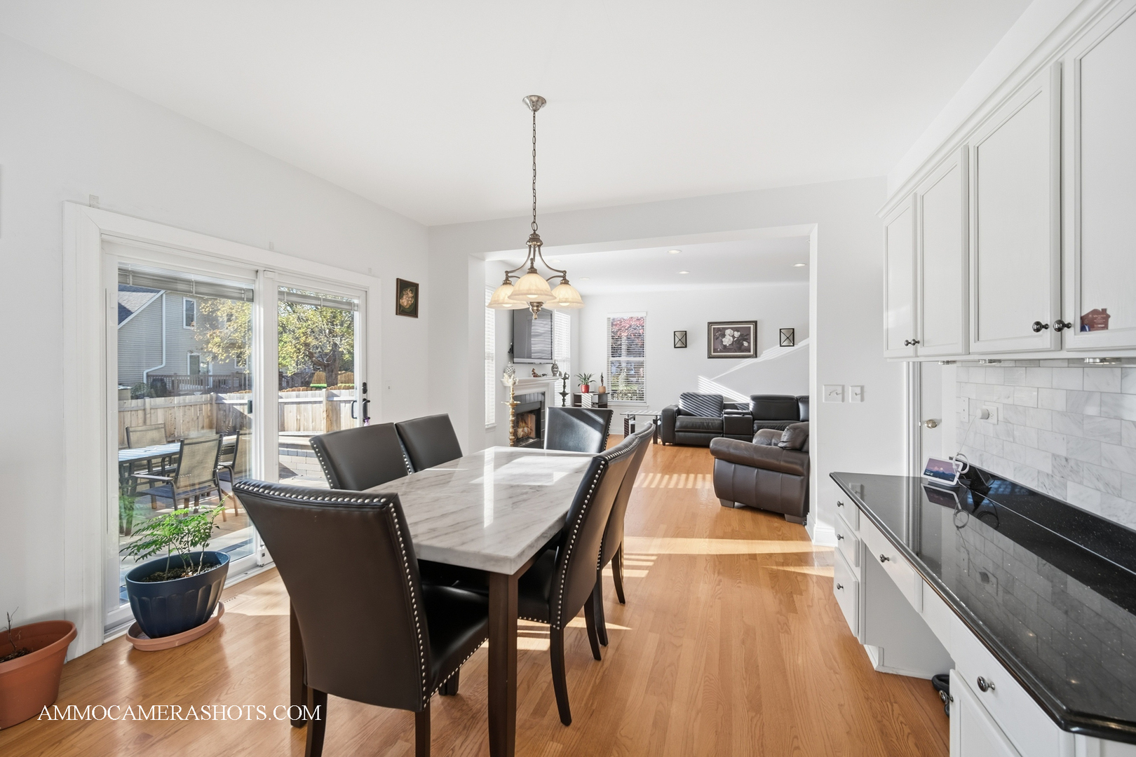 1205 Red Clover Drive Naperville, IL 60564 - Photo 16 of 49 a view of a dining room and livingroom with furniture wooden floor a rug a chandelier