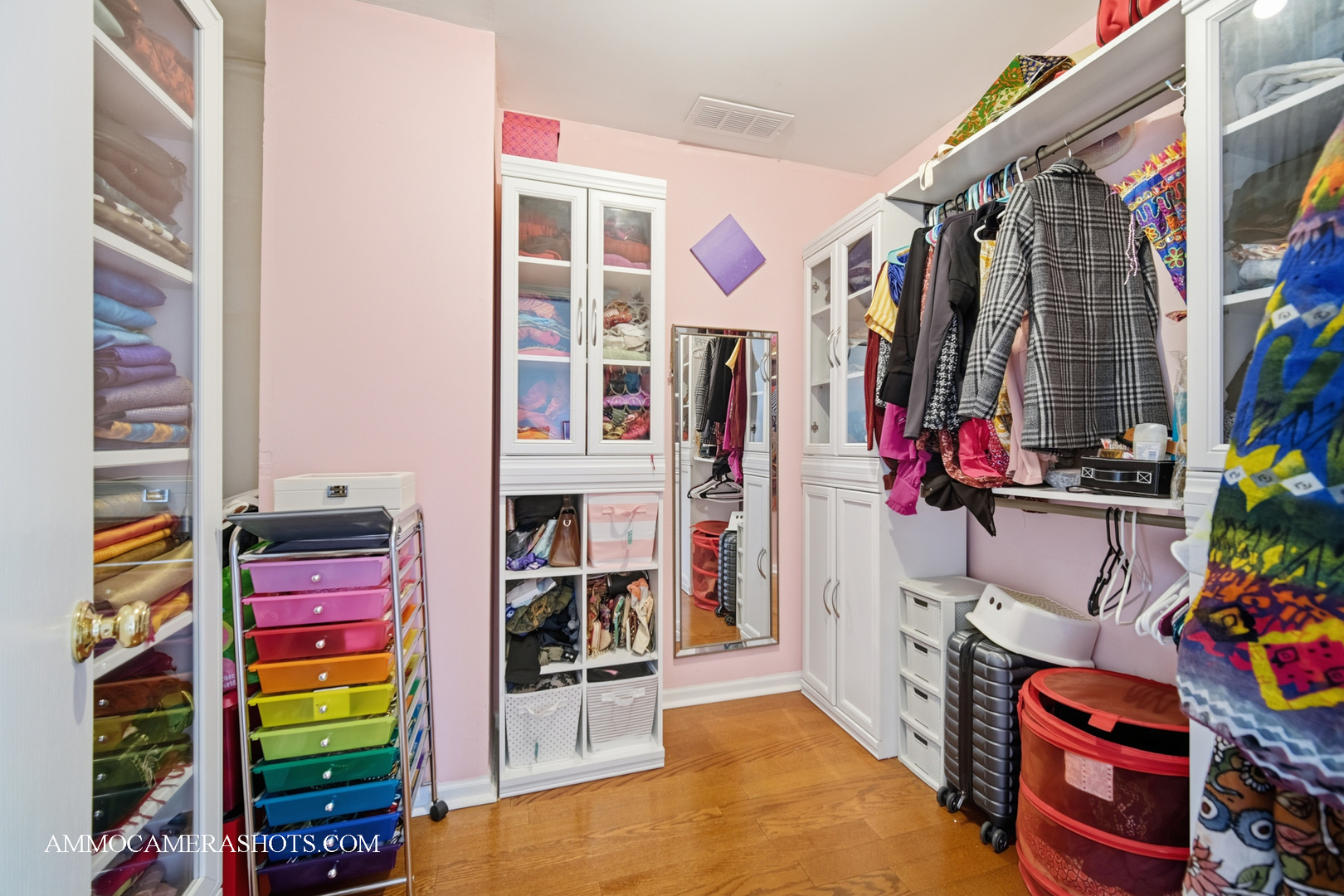 1205 Red Clover Drive Naperville, IL 60564 - Photo 24 of 49 a view of walk in closet with clothes and shoes