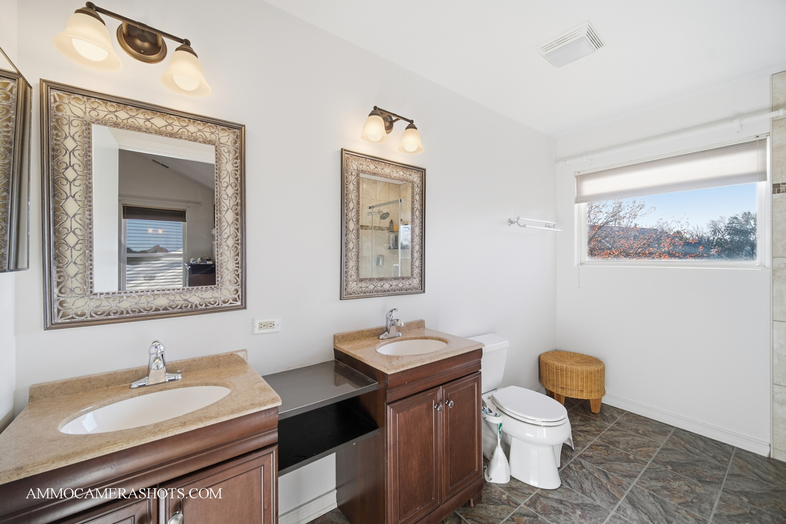 1205 Red Clover Drive Naperville, IL 60564 - Photo 25 of 49 a bathroom with a granite countertop sink mirror vanity and toilet