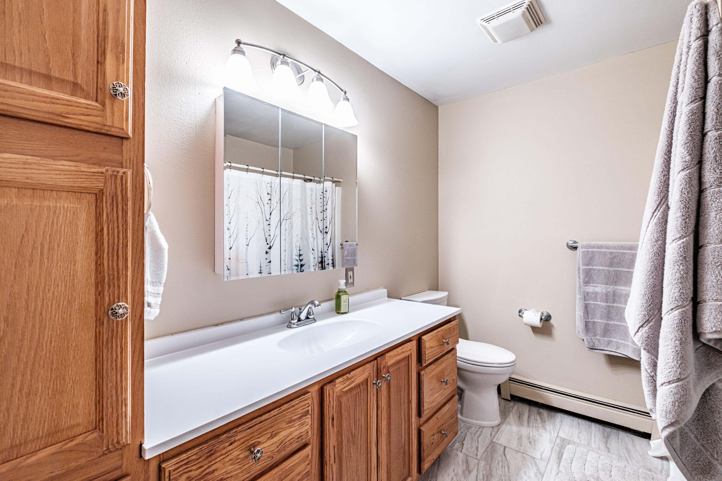 10 Bear Point Road Harrison, ME 04040 - Photo 38 of 86 20260624gp-61050