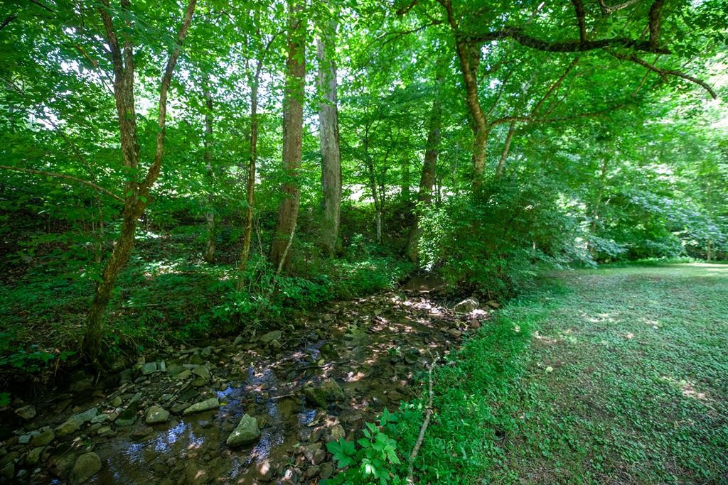 892 Graves Delozier Road Seymour, TN 37865 - Photo 48 of 50 Gallery Image 48
