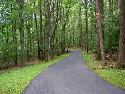 3329 Willow Run Road Kutztown, PA 19530 - Photo 3 of 8 Private paved driveway