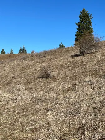 $139,000 | Tbd Tbd Shenandoah First Street, Kamiah, ID 83536