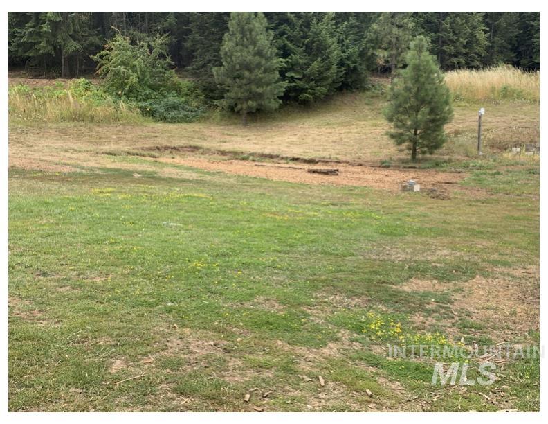 Tbd Tbd Shenandoah First Street Kamiah, ID 83536 - Photo 23 of 28 View of grassy yard