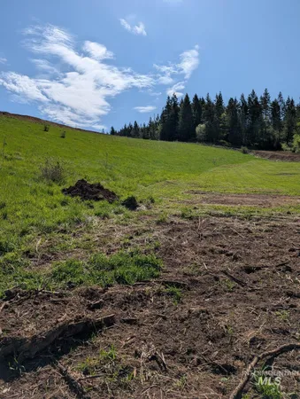 $139,000 | Tbd Tbd Shenandoah First Street, Kamiah, ID 83536