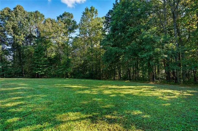 a view of a grassy field with trees in the background