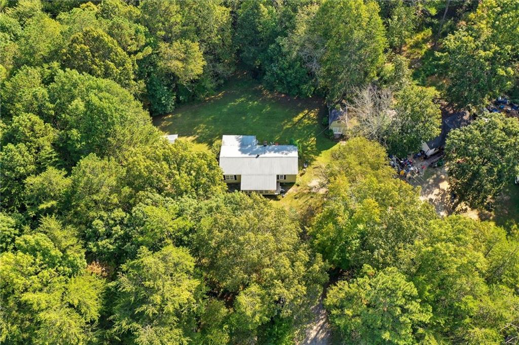 2450 Jones Mountain Road Talking Rock, GA 30175 - Photo 5 of 40 a view of a multi story yard with large trees