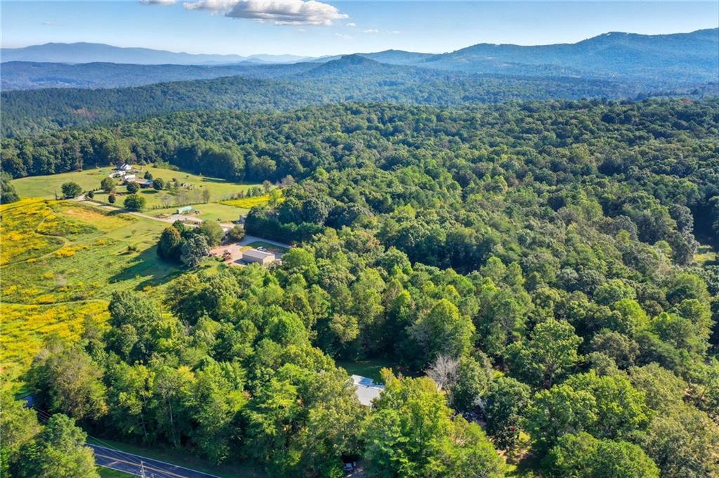 2450 Jones Mountain Road Talking Rock, GA 30175 - Photo 6 of 40 a view of a lush green hillside and a houses