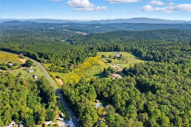 a view of a lush green forest with lots of trees
