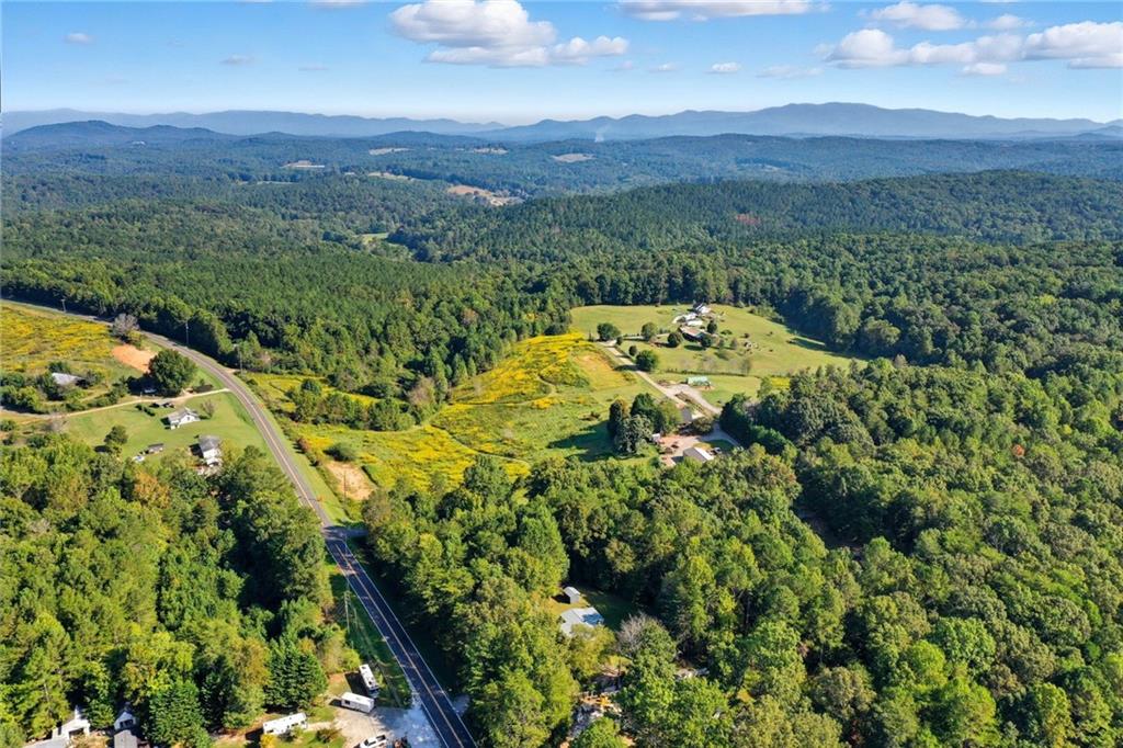 2450 Jones Mountain Road Talking Rock, GA 30175 - Photo 7 of 40 a view of a lush green forest with lots of trees