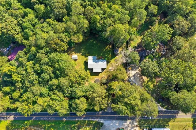 a view of a yard with plants