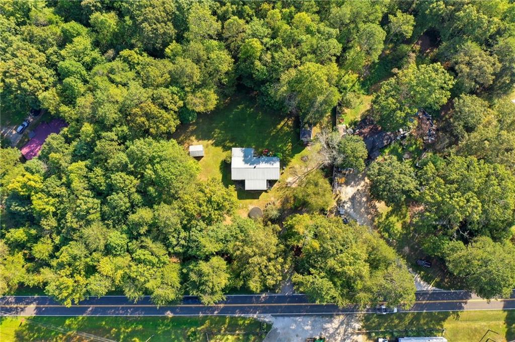2450 Jones Mountain Road Talking Rock, GA 30175 - Photo 10 of 40 a view of a yard with plants