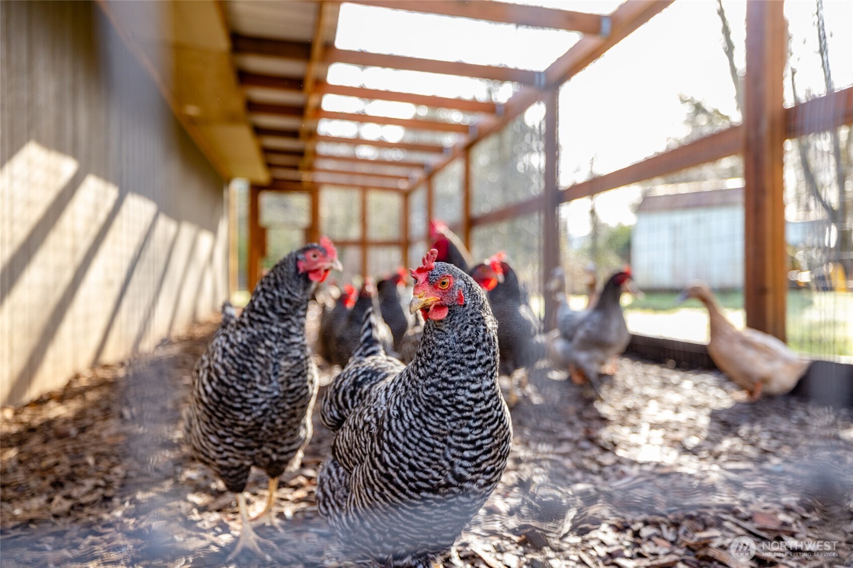 22398 Grip Road Sedro-Woolley, WA 98284 - Photo 29 of 29