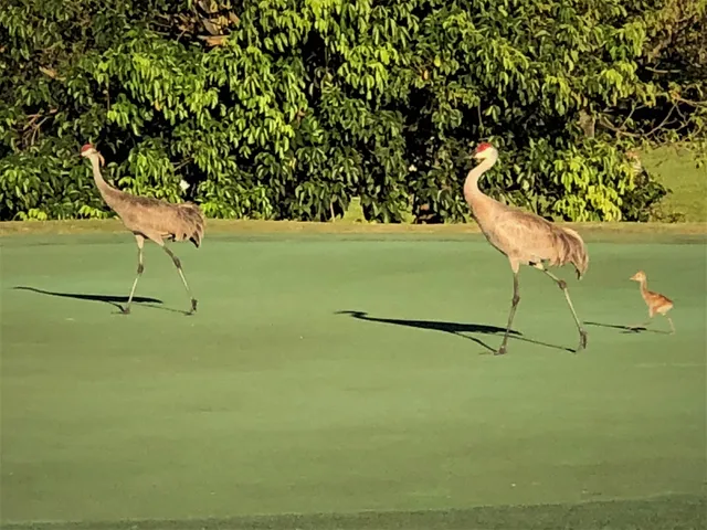 $4,000 | 1209 12th Terrace, Unit 1209, Palm Beach Gardens, FL 33418