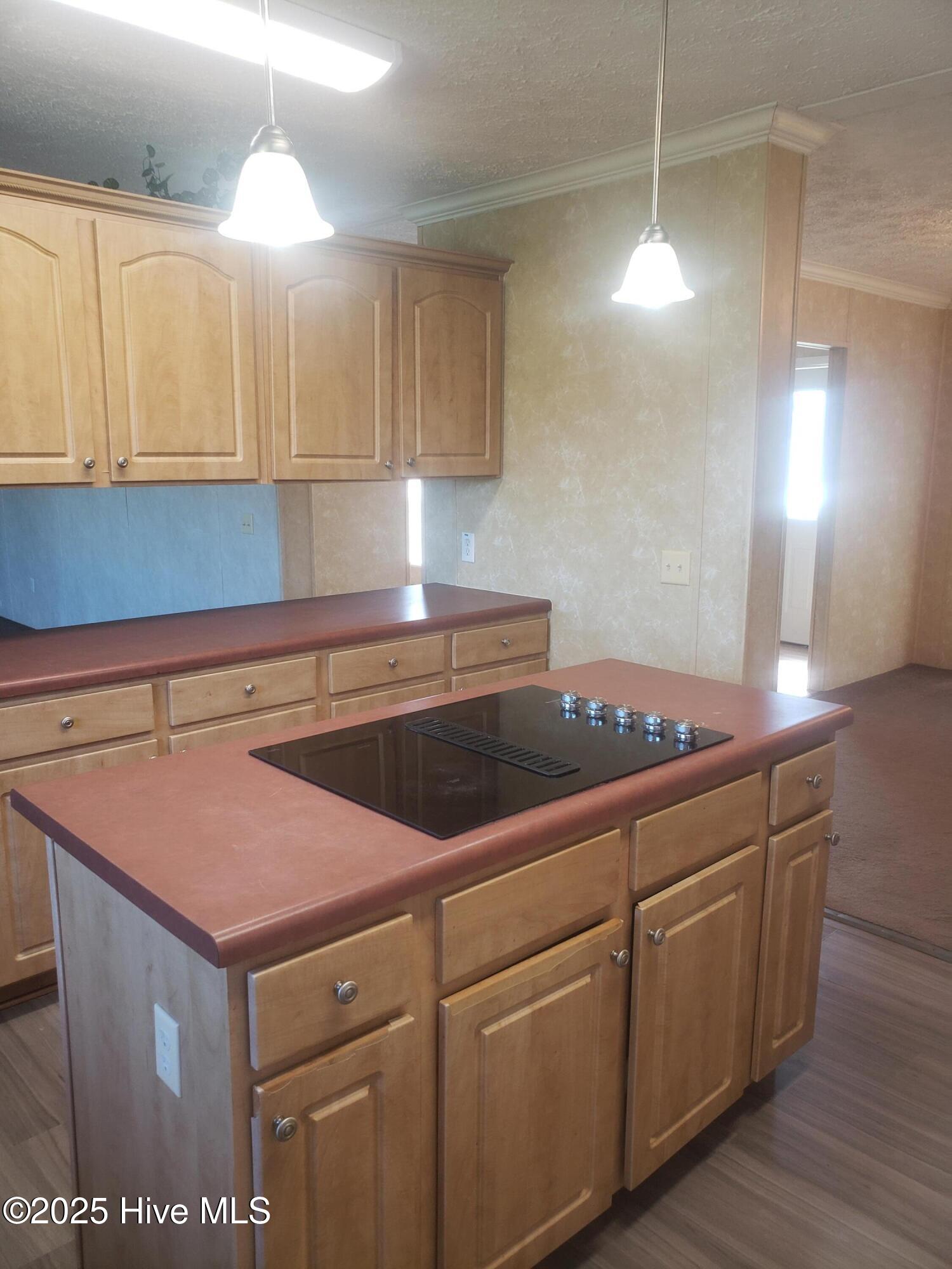 900 Lakeview Road La Grange, NC 28551 - Photo 12 of 33 20250920_112853