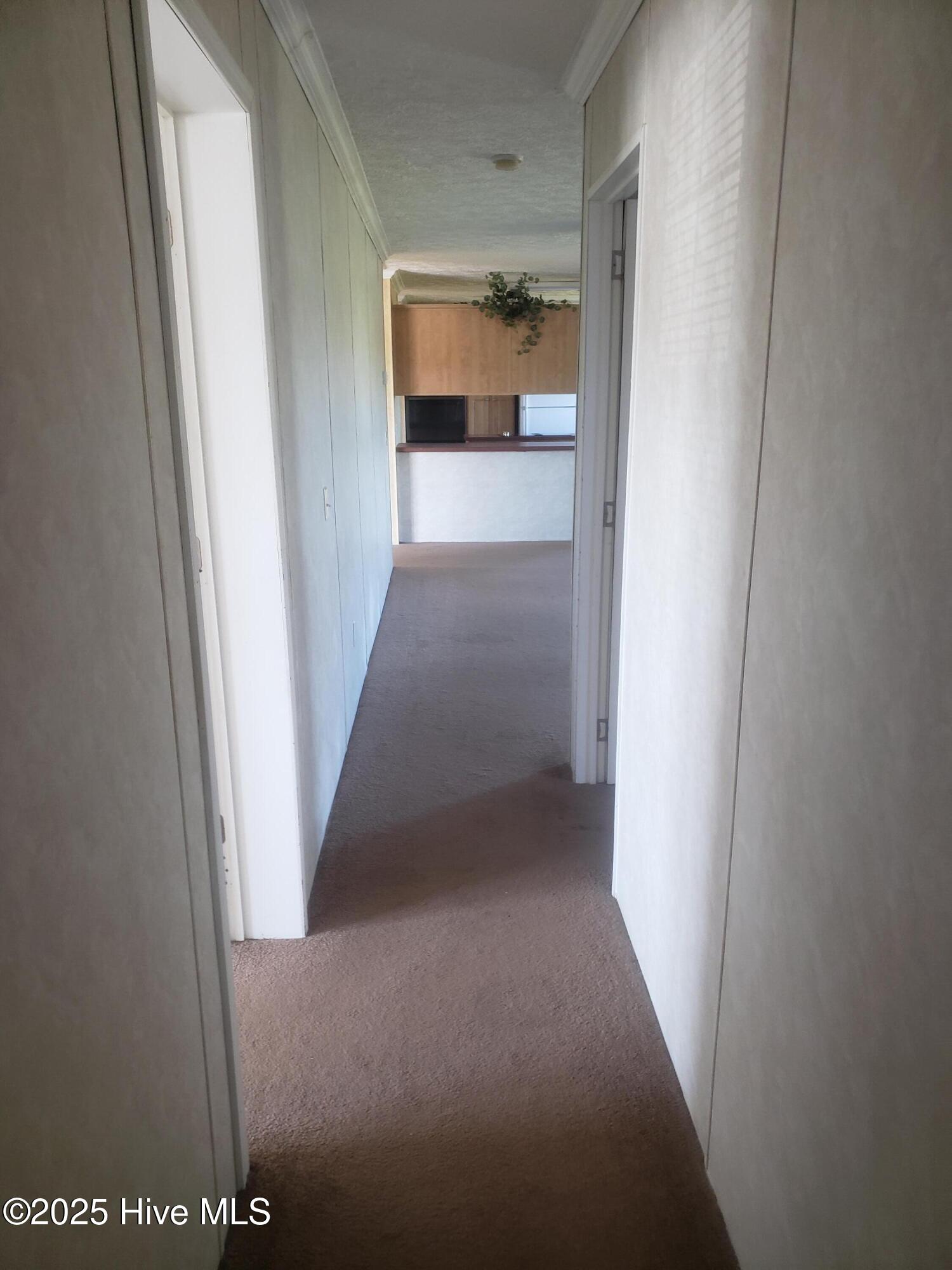 900 Lakeview Road La Grange, NC 28551 - Photo 28 of 33 20250920_113453