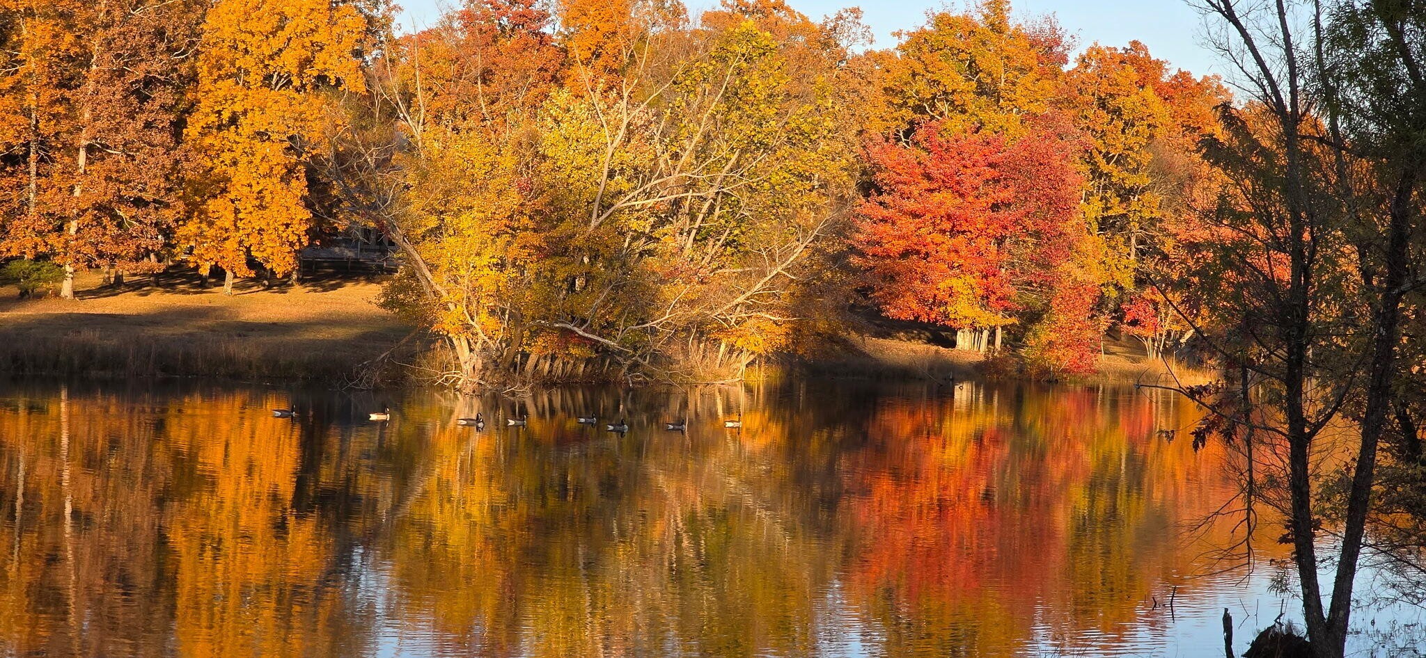0 Chestnut Oak Drive Dunlap, TN 37327 - Photo 21 of 24 a view of a house with a tree