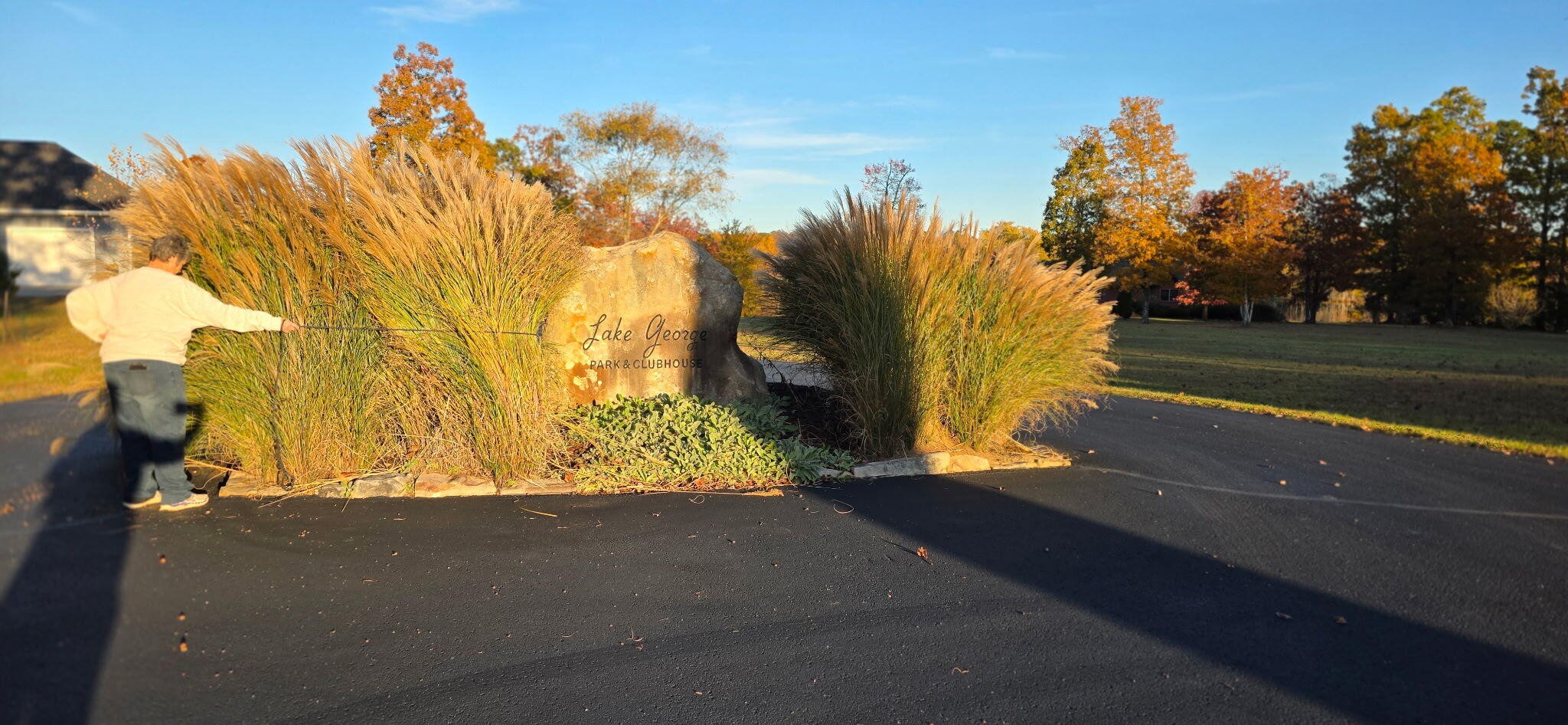 0 Chestnut Oak Drive Dunlap, TN 37327 - Photo 22 of 24 a view of a yard