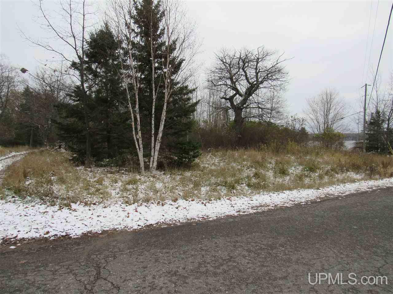 Lot 9 Ford Drive Road Lanse, MI 49946 - Photo 4 of 28