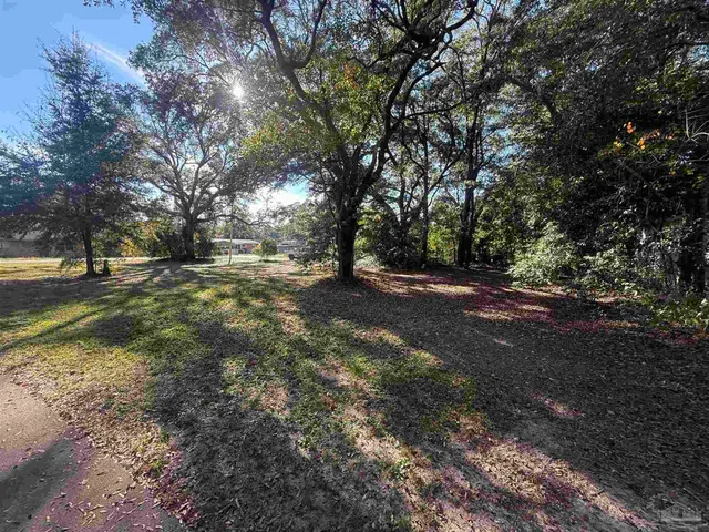 a view of dirt yard with a large tree