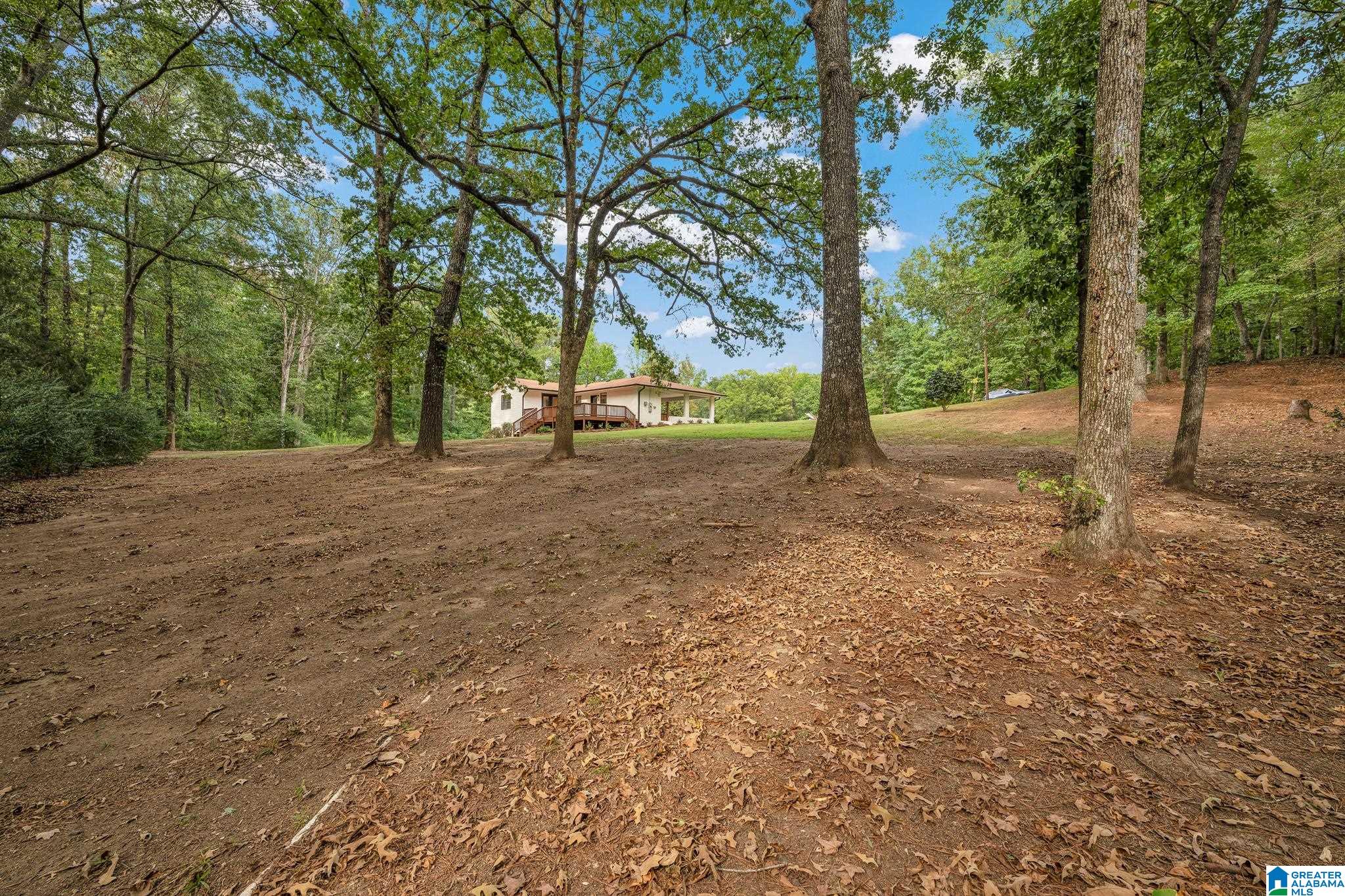 264 Ridgewood Drive Jasper, AL 35501 - Photo 14 of 40