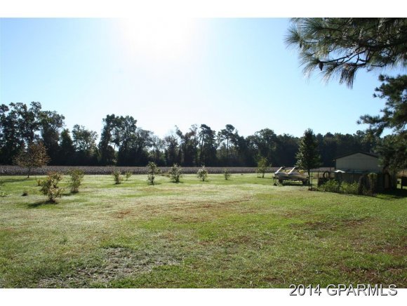 6777 Fire Dept Road Williamston, NC 27892 - Photo 22 of 24 Additional Photo