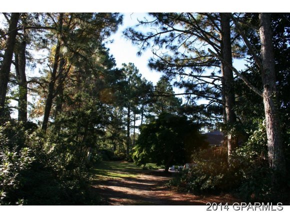 6777 Fire Dept Road Williamston, NC 27892 - Photo 23 of 24 Additional Photo
