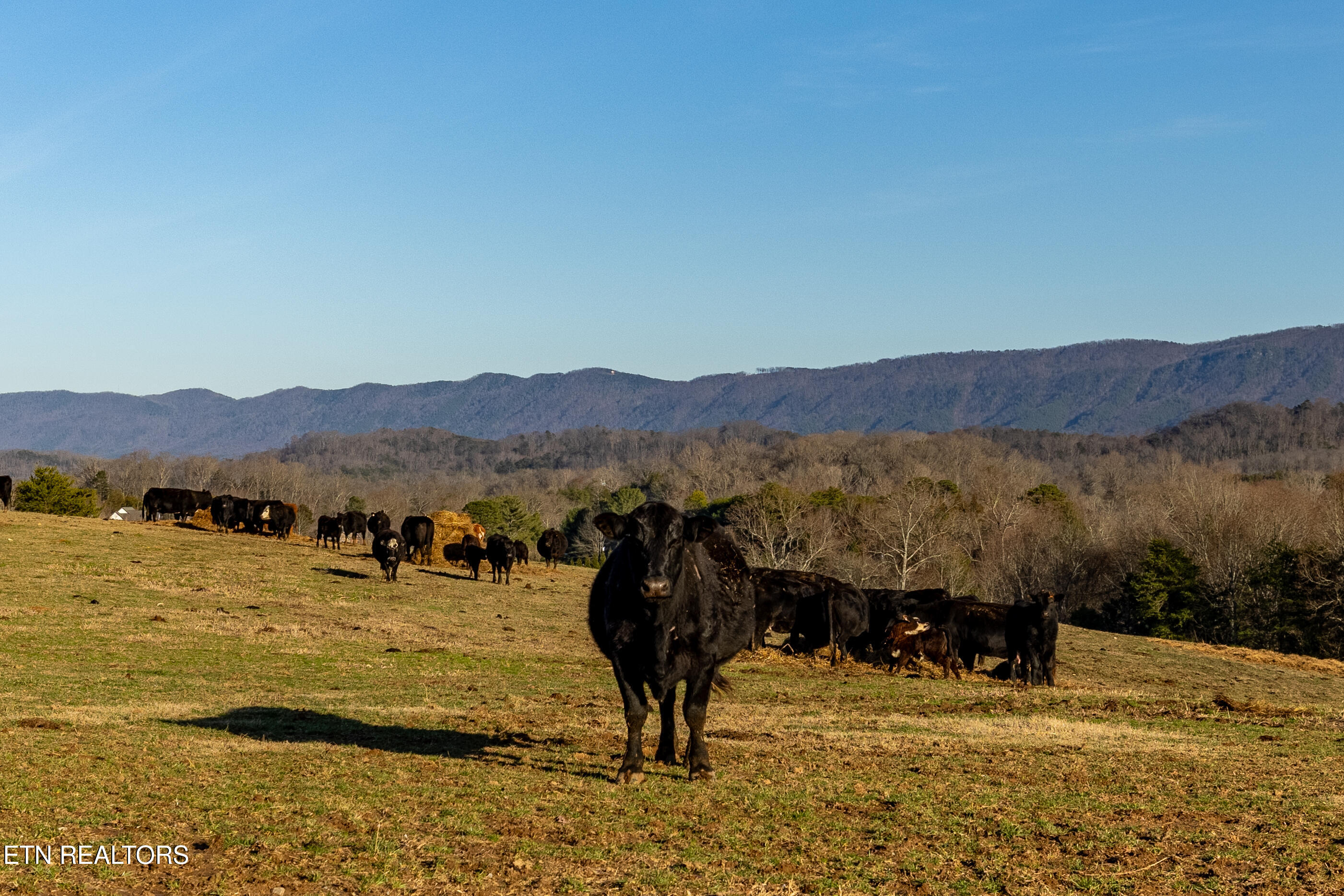 1250 Brick Mill Road Maryville, TN 37801 - Photo 38 of 59 1250BrickMillrd-40