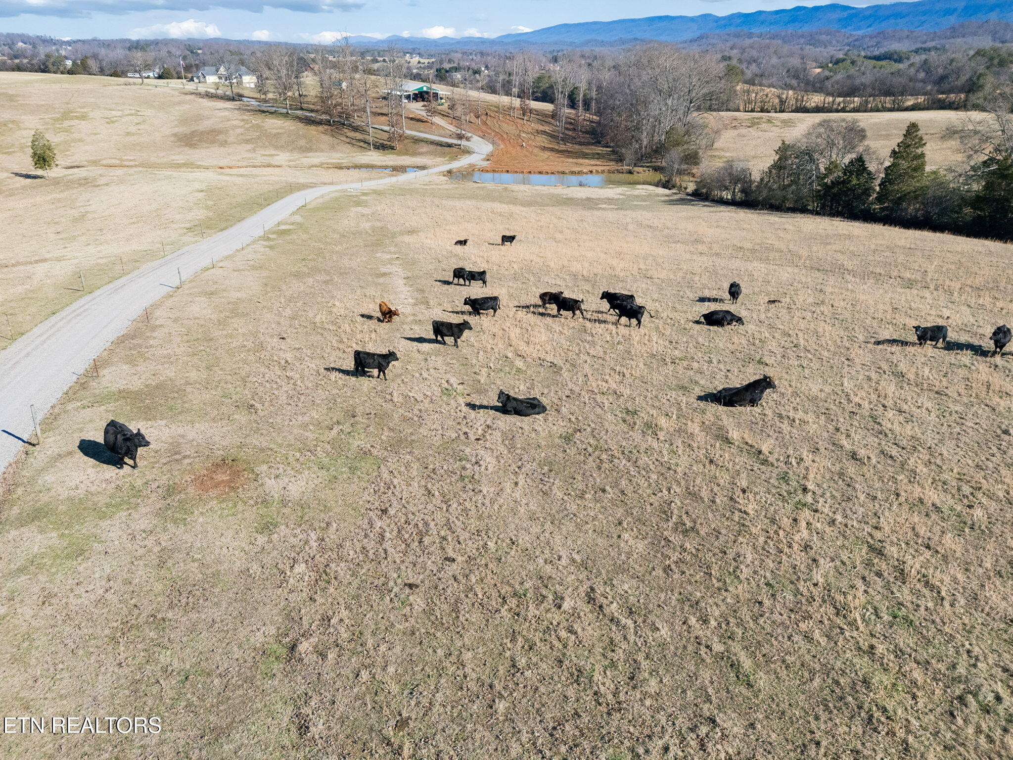1250 Brick Mill Road Maryville, TN 37801 - Photo 5 of 59 59-1250 Brick Mill Rd - 059