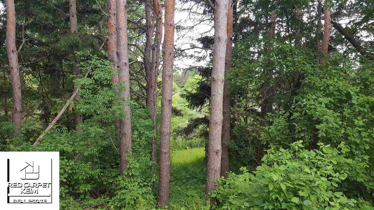 11040 East Coldwater Road Davison, MI 48423 - Photo 23 of 35 Trails