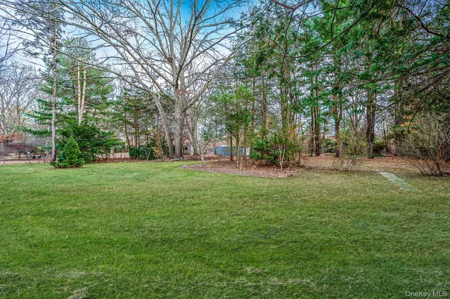 a view of park with trees
