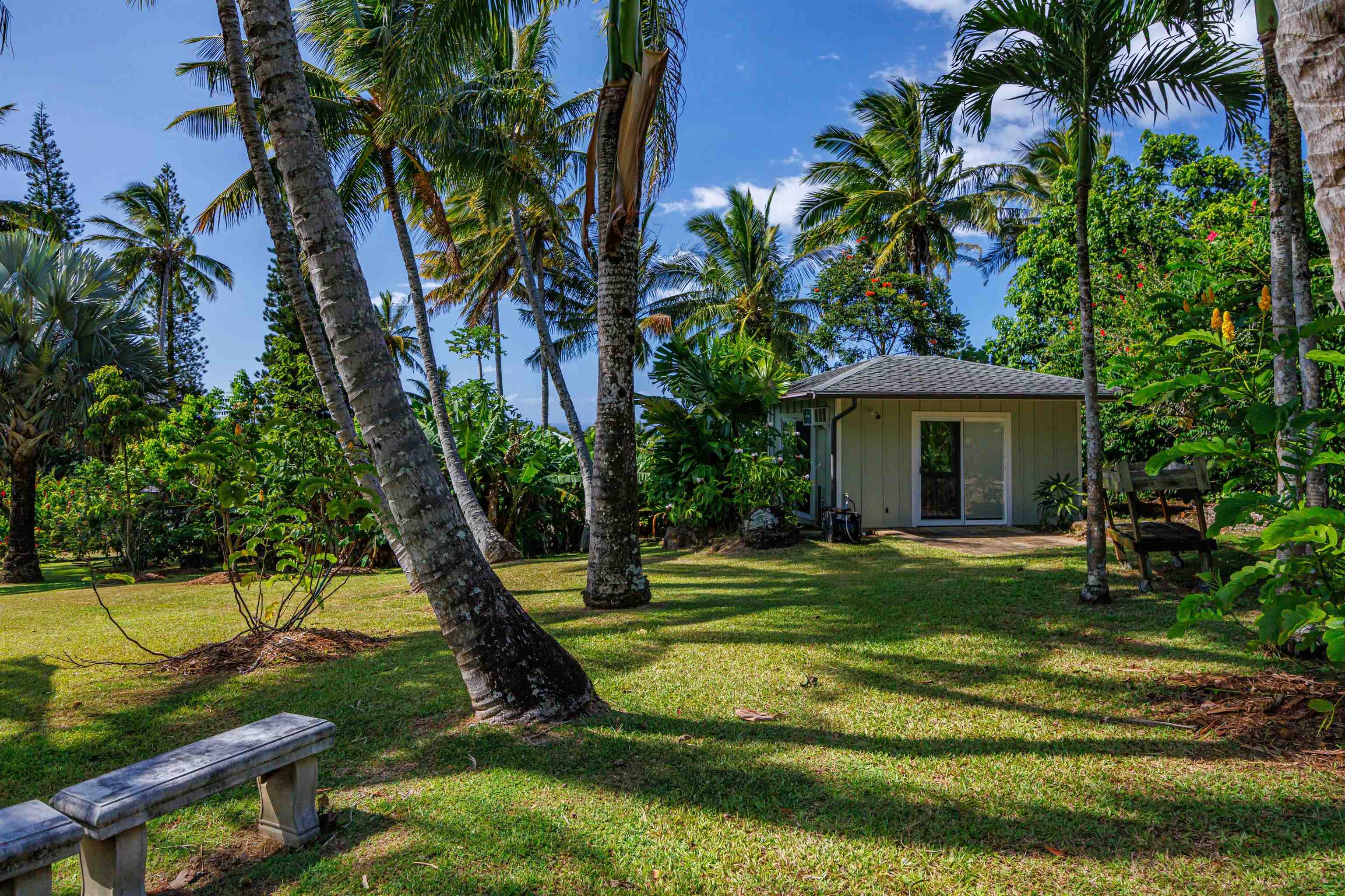 65 North Holokai Road Haiku, HI 96708 - Photo 43 of 50 a view of a house with a yard and a tree