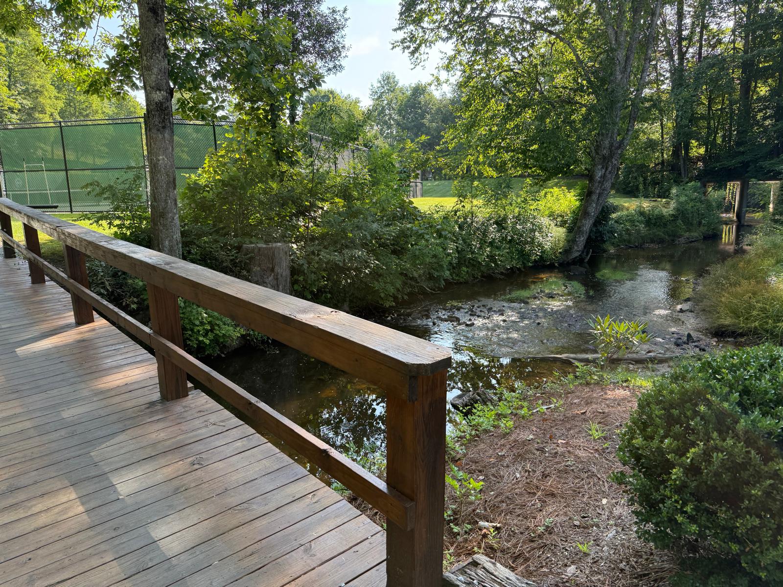 24 Wandering Ridge Cashiers, NC 28717 - Photo 28 of 30 Gallery Image 28