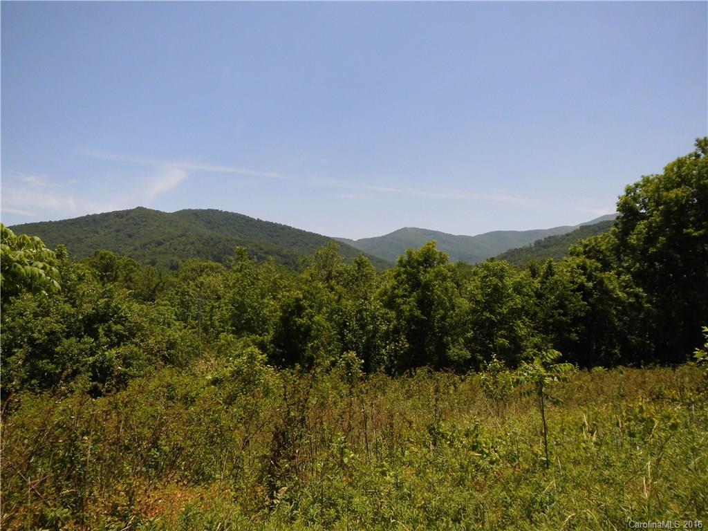 56 Rippling Stream Drive Candler, NC 28715 - Photo 1 of 8 Gallery Image 1