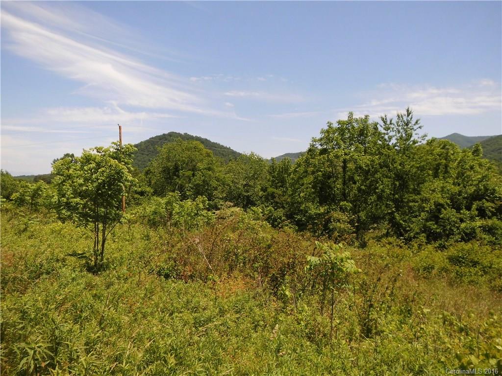 56 Rippling Stream Drive Candler, NC 28715 - Photo 2 of 8 Gallery Image 2