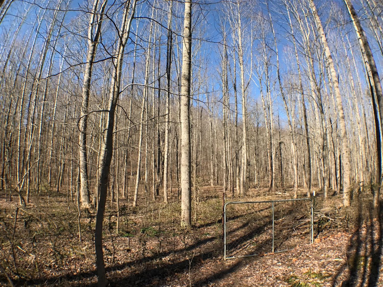 99 Haven Road Means, KY 40346 - Photo 36 of 70 Photo 36