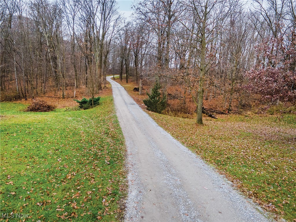 29643 Tower Road Salem, OH 44460 - Photo 4 of 5 View of street