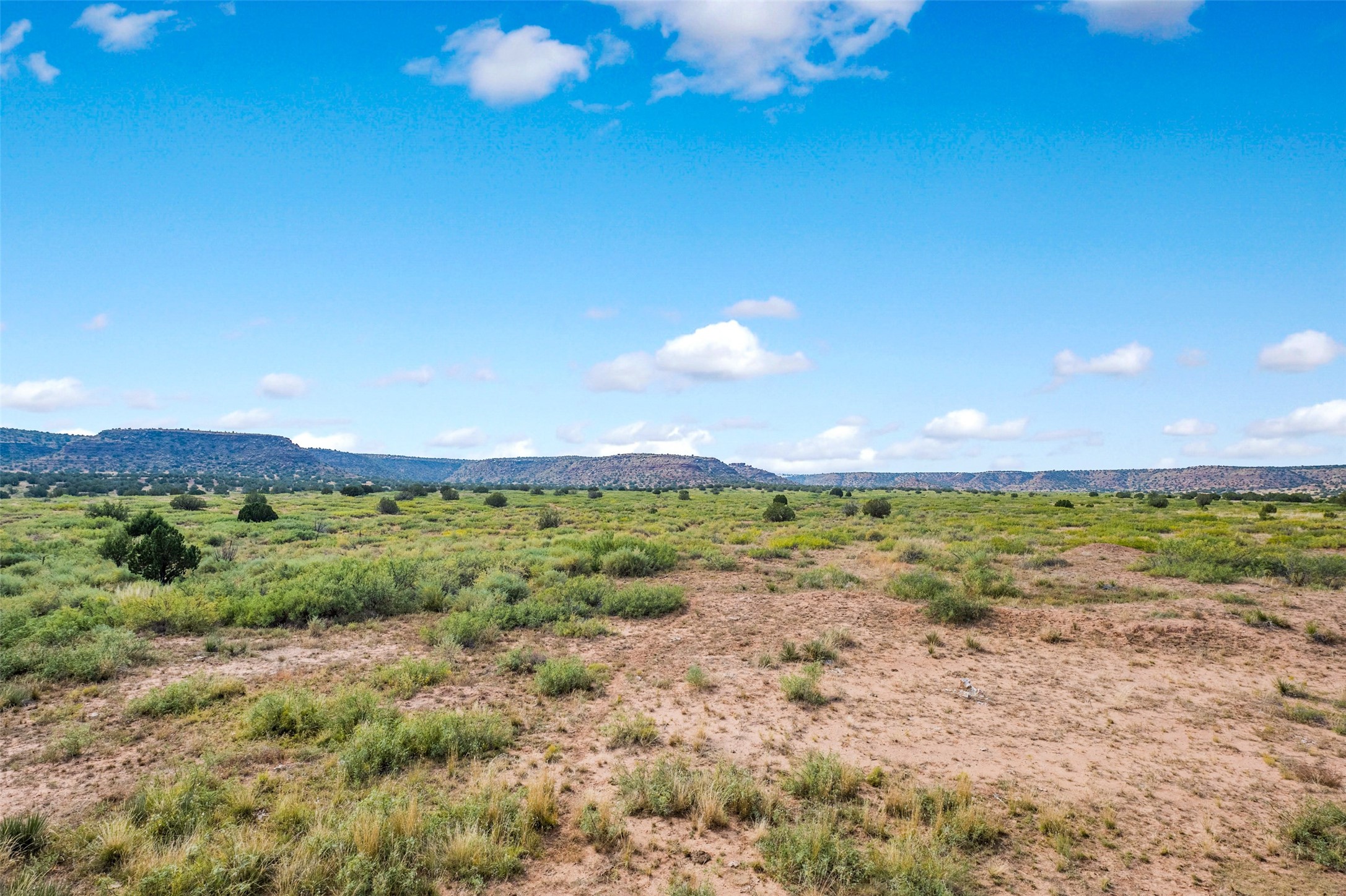1019 Paisano Road Santa Rosa, NM 88435 - Photo 55 of 66