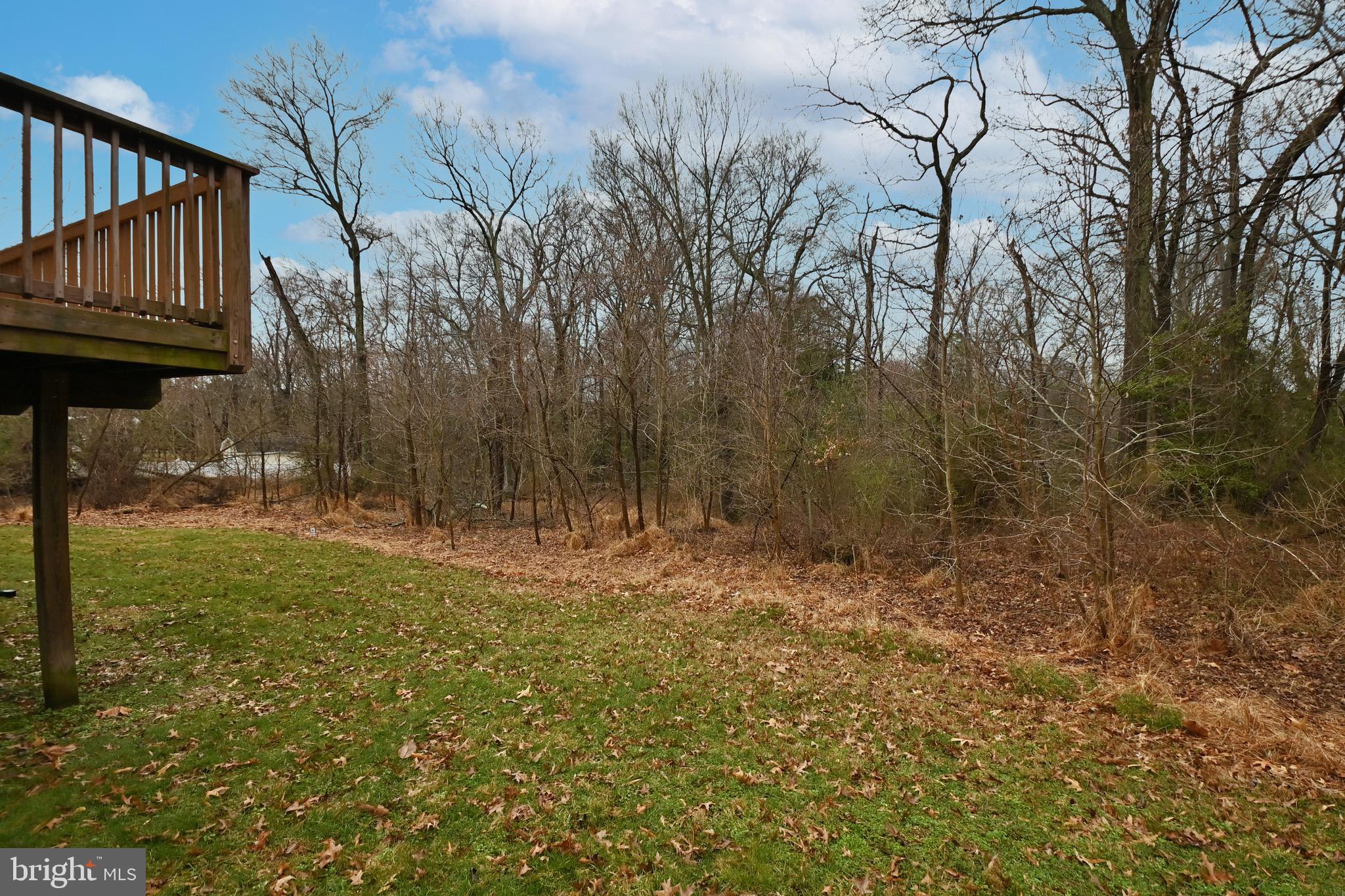 11105 Riverview Road Fort Washington, MD 20744 - Photo 48 of 49 Backyard