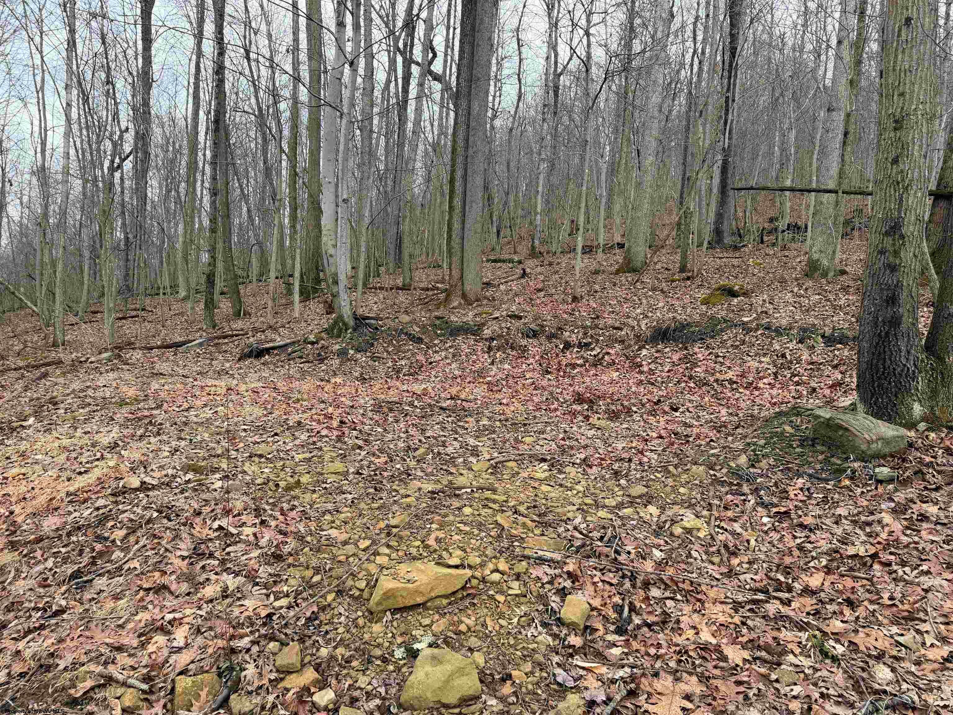 Tbd Carrolton Road Buckhannon, WV 26201 - Photo 25 of 37 Gallery Image 25