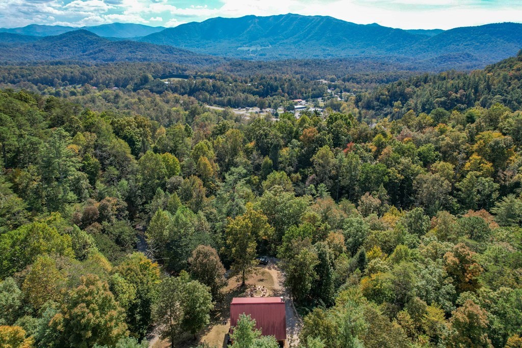 116 Mountain Retreat Road Townsend, TN 37882 - Photo 4 of 69 Gallery Image 4