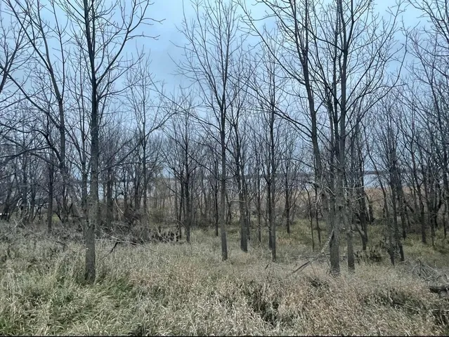 $197,000 | 15993 154th Street Northeast, New London, MN 56273