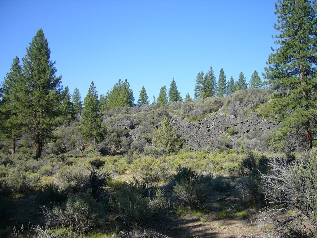 20 Acres Off Technor Robison Road Macdoel, CA 96058 - Photo 16 of 23 Gallery Image 16
