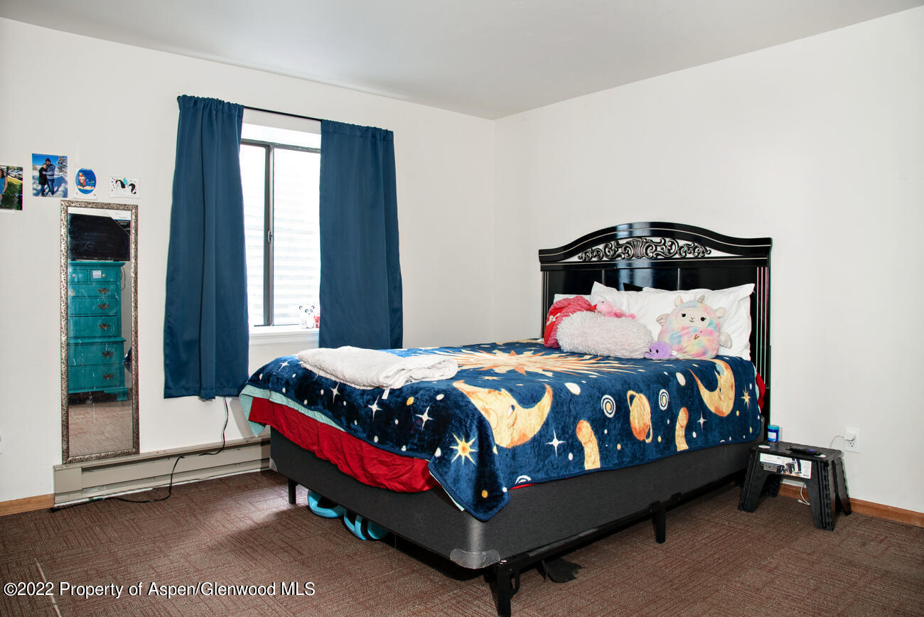 318 Badger Road Carbondale, CO 81623 - Photo 28 of 38 318BadgerRd_037